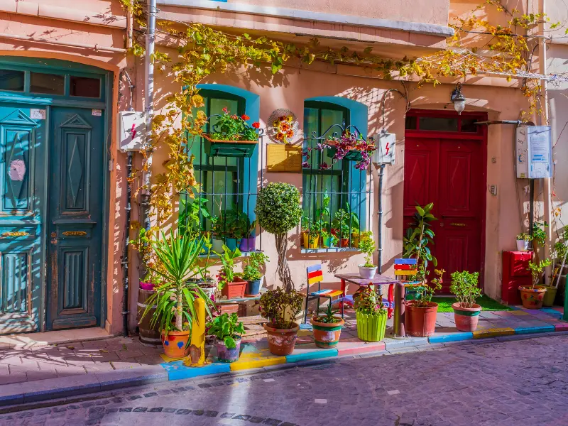 بيوت ريفية رخيصة للبيع في تركيا مع مجموعة محل